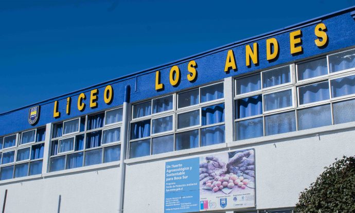 Encuestas Alimentación